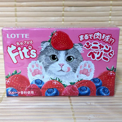 Fit's Chewing Gum - Berry Mix