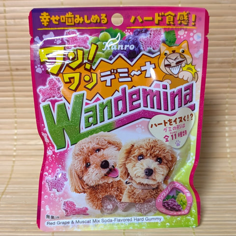 A Wandemina dog shaped candy pack of mixed grape soda flavor. This is a Candemina gummy pack with a altered name for cuteness. Cute puppies on the package.
