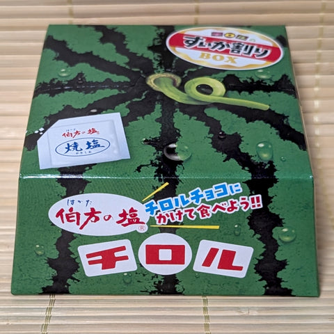 A green and black striped novelty box shaped like a watermelon featuring a Hakata no Shio salt packet graphic, on a tatami background.